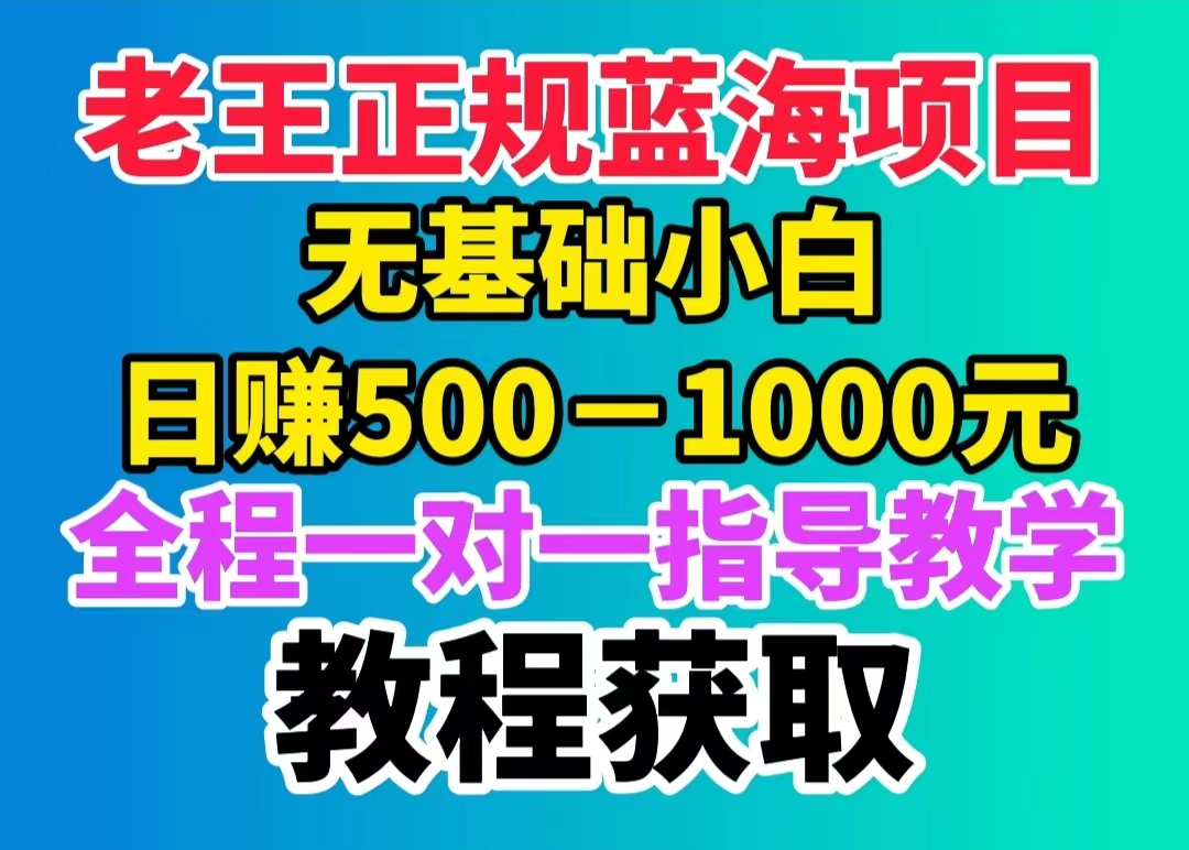 老王正规蓝海项目！日赚500-1000《详细介绍及获取教程》